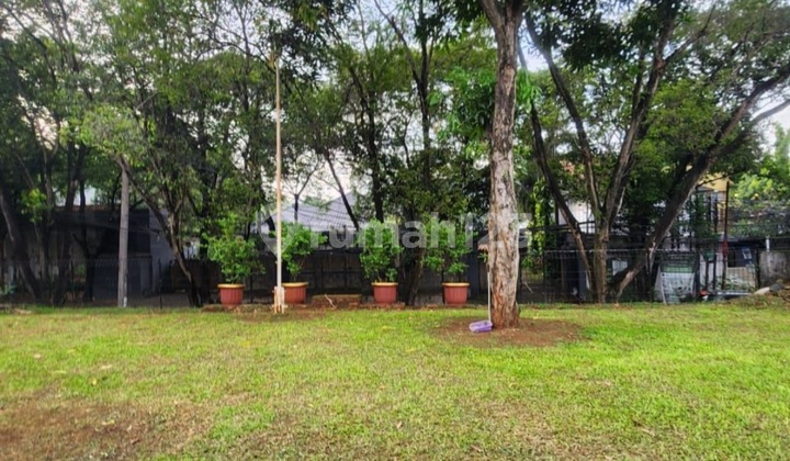 Cheap Land by the Main Road. Cilandak, South Jakarta.