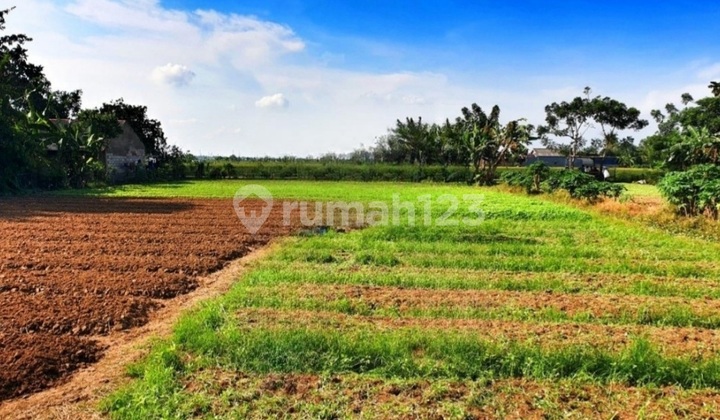 Dijual Murah Tanah Di Jalan Raya Babelan Bekasi Jawa Barat