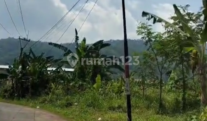 Residential Zone Land.pp2 Lewi Sadeng Subdistrict. Cigudeg Bogor