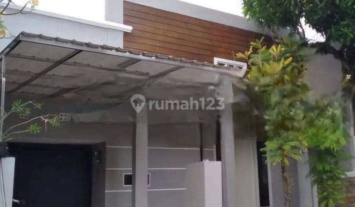 Rumah Murah 1 Lantai Minimalis Modern Fully Furnished Siap Huni Dekat Gwalk Di International Village Citraland Surabaya Barat 1