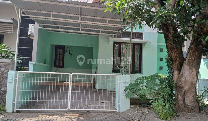 Rumah Murah 1 Lantai Minimalis Sederhana Semi Furnished Siap Huni Dekat Pasar Modern Di Alam Hijau Citraland Surabaya Barat 1