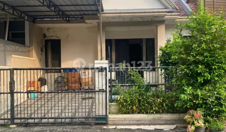 Termurahhh Rumah 1 Lantai Minimalis Semi Furnished Siap Huni Citraland Utama Surabaya Barat