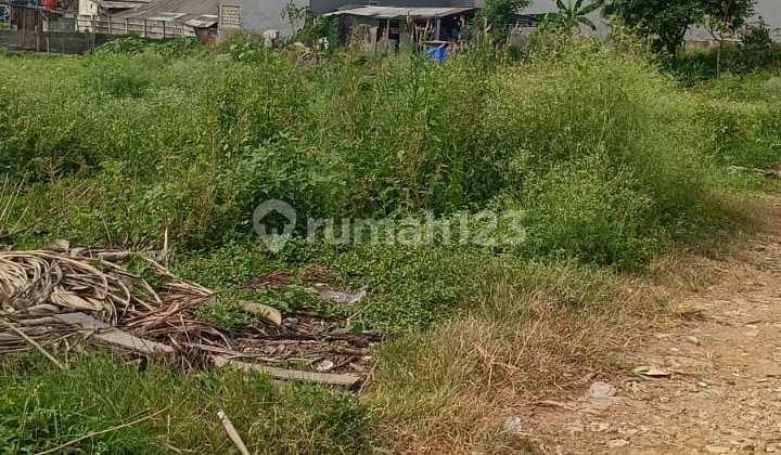 Tanah 2hektar Di Kelapa Dua Tangerang 140jt/1000m2/tahun 