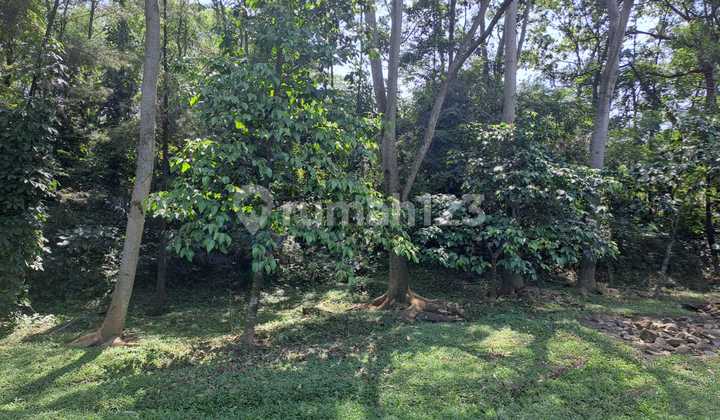 Kavling Hadap Jalan Raya Di Sentul City Siap Pakai Hadap Jalan Raya 