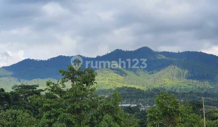 Dijual Kebun Durian Alpukat Daerah Parakan Muncang Kab. Sumedang. Luas 20 Ha. Kontur Datar . Ada View Gunung.