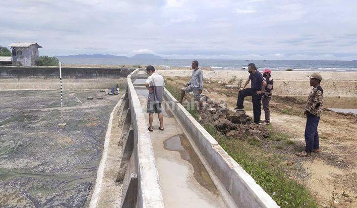 Dijual Tambak Udang 3.8 Ha. Kondisi Aktif, Suak Sidomulyo Lampung Selatan. Lampung.  Shm.  2