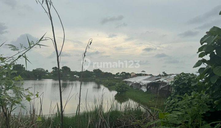 Tanah 2925 m² di belakang terminal Tegal, Margadana 2