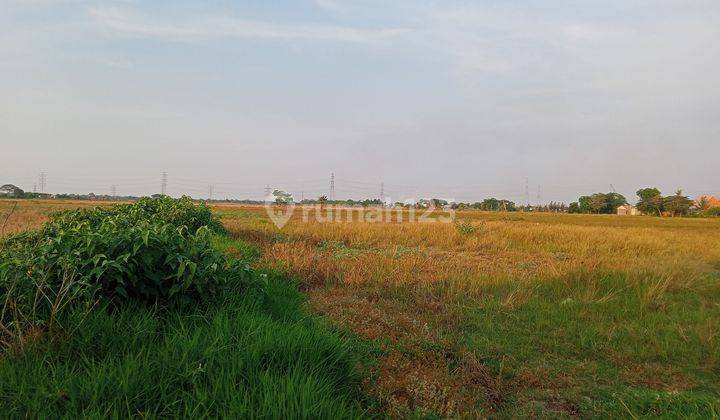 Lahan industri/perumahan dekat ke pintu Toll Tarumajaya Bekasi di Desa buni bakti Babelan Bekasi  dekat ke gerbang Toll Tarumajaya  2