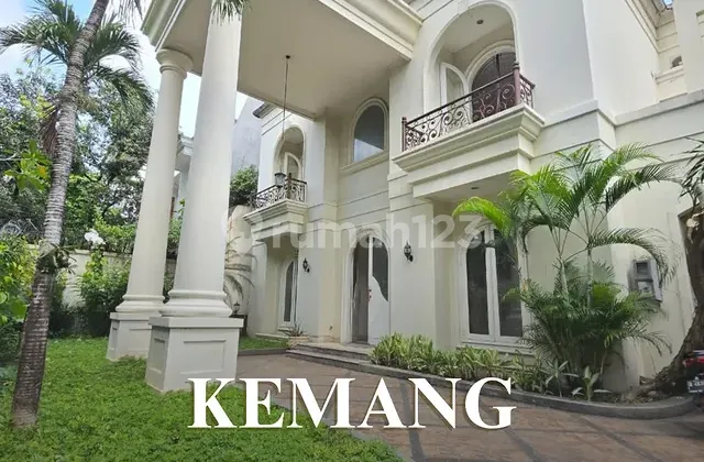 For Rent Spacious House with Swimming Pool in Kemang