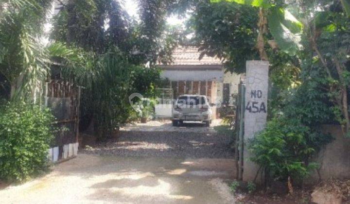 Dijual Cepat Rumah Murah Di Jl. Buni Kelurahan Munjul Cipayung Jakarta Timur 1