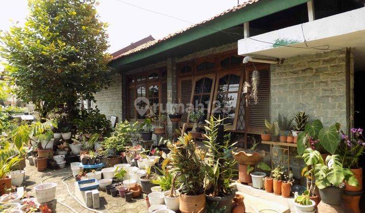 Dijual Cepat Rumah Murah Luas Lokasi Strategis Di Jatipadang Pasar Minggu Jakarta Selatan 1