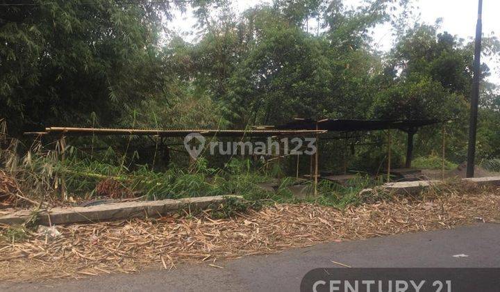 TANAH LUAS DAN STRATEGIS DI GUNUNG PUYUH SUKABUMI 2