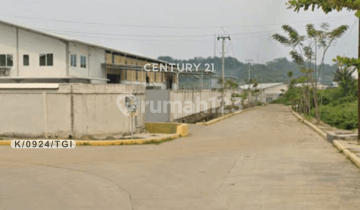 Tanah Kawasan Industri Dekat Dari Tol di Jl Cikao Purwakarta Tanah Kawasan Industri Dekat Dari Tol di Jl Cikao Purwakarta