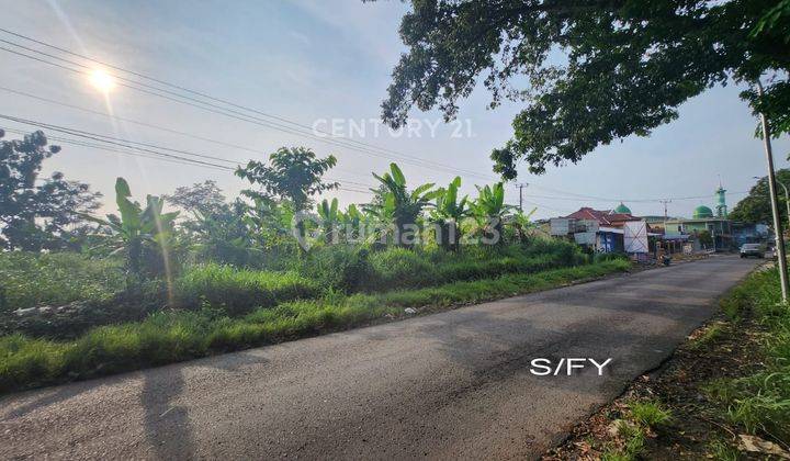 Tanah Main Road Kab Cianjur Luas Besar Harga Murah 1