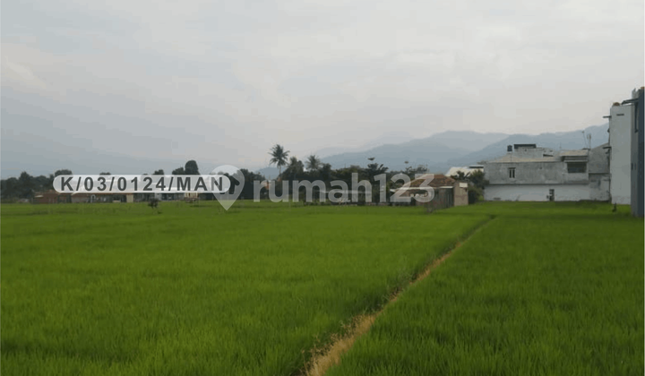 Dijual Tanah Strategis Di Jalan Alfathu Soreang Bandung