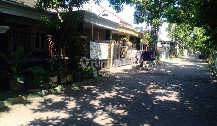 RUMAH MUTIARA CITRA ASRI SIDOARJO 59392 1