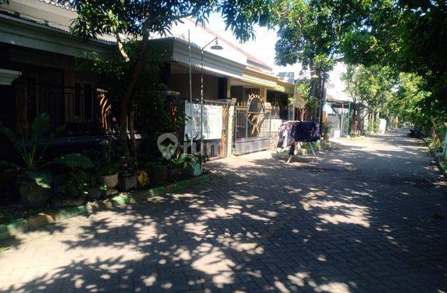 RUMAH MUTIARA CITRA ASRI SIDOARJO 59392 2