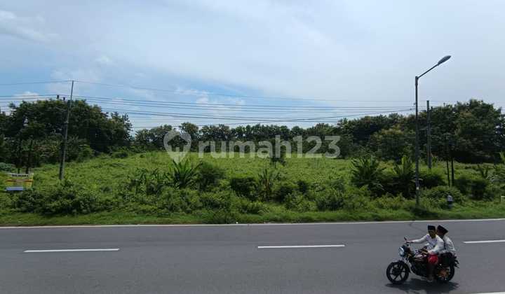 Di Jual Lahan 0 Jln Raya Jombang- Mojokerto Di Jual Lahan 0 Jln Raya Jombang- Mojokerto
