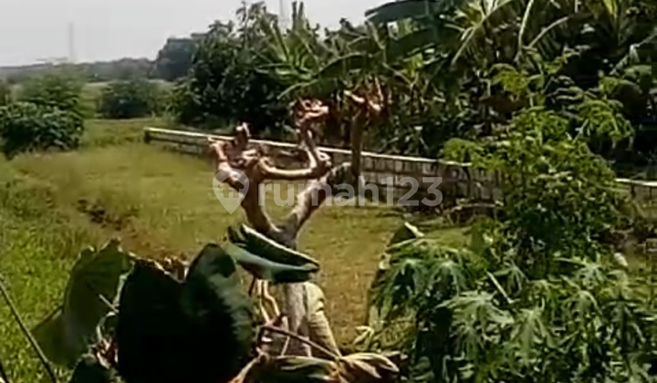 Dijual Tanah 0 Jln Aspal Lokasi Tarik