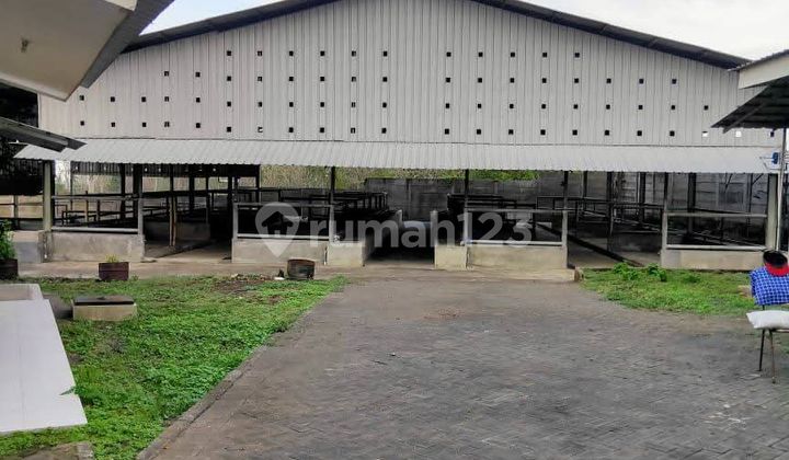 Di Jual Gudang Eks Kandang Sapi Siap Operasi