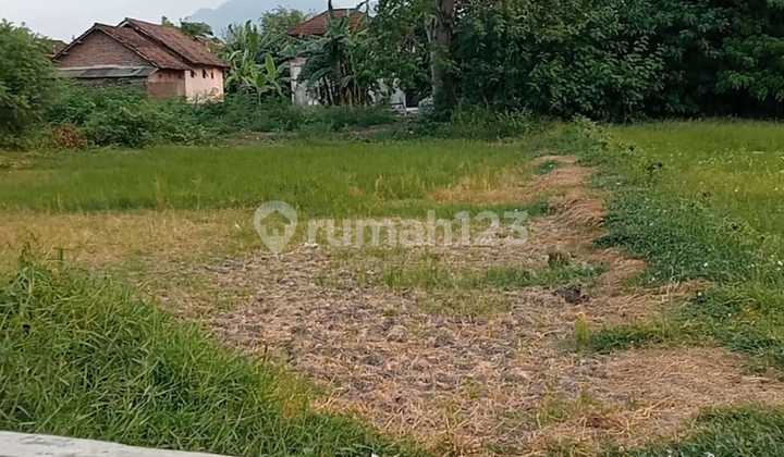 Di Jual Tanah Pekarangan Singopadu Tulangan Di Jual Tanah Pekarangan Singopadu Tulangan
