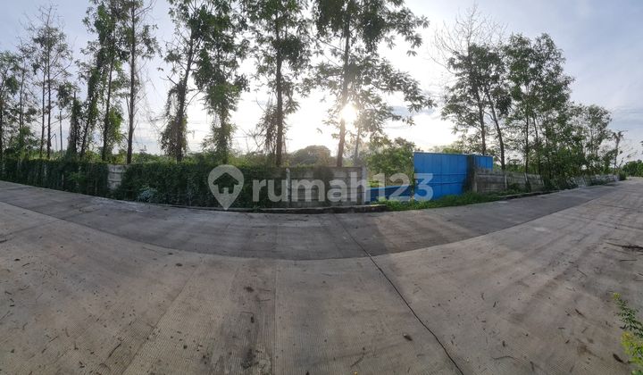 For Sale: Yellow Zone 0 Land, Concrete Road Location, Cerme For Sale: Yellow Zone 0 Land, Concrete Road Location, Cerme