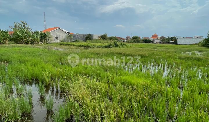 Di Jual Lahan bisa di Buat Perusahaan ( Zona Kuning)