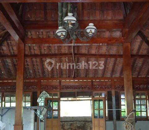 Di sewakan rumah villa 1