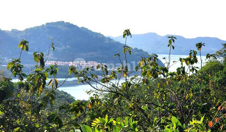 Kavling Bagus Strategis @ Jl Pelabuhan Rangko Labuan Bajo N T Tt Kavling Bagus Strategis @ Jl Pelabuhan Rangko Labuan Bajo N T Tt