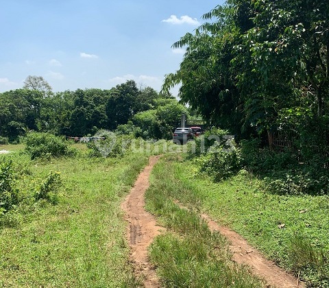 Kavling Siap Pakai, Masuk Kontainer 40" di Cikeusal, Serang