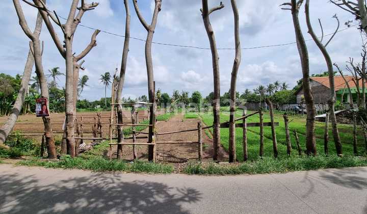 Tanah di Jalan Sangiang, Desa Gempol Sari, Tangerang Dijual Cepat