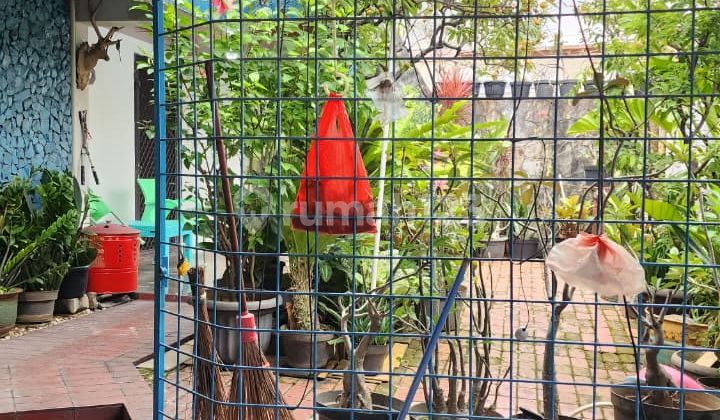 For Quick Sale, House in South Kedoya, Surya Wahana. Always Flood-Free!!! Strategic Location, Freehold Title. 3 AC Units. Road Fits 2 Cars. Contact Us for Negotiation, We'll Help You Deal!