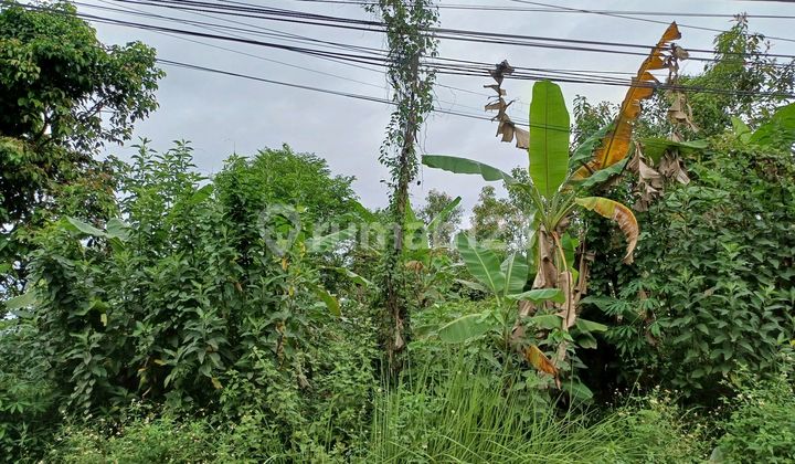 Tanah Seluas 31.204 M2 Cocok Untuk Pabrik Atau Gudang Di Jl. Raya Cileles