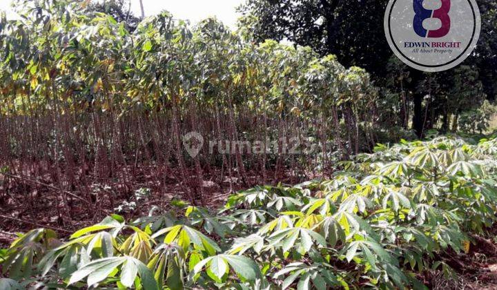 Tanah Kavling Luas Murah Untuk Perumahan Dekat Serpong Pamulang 2