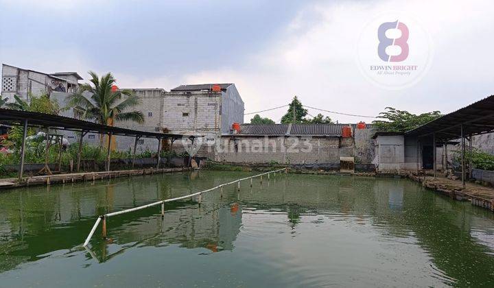 Tanah Kolam Pemancingan Murah Dalam Komplek Dekat Cipadu Untuk Investasi 2