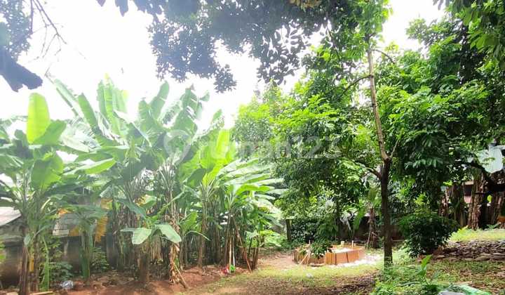 Tanah Kavling Murah Dekat Toll Veteran Bintaro Jakarta Selatan