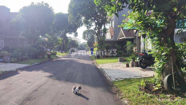 Sty,  Rumah Sejuk Tropical Banyak Tanaman Sutera Harmoni Alam Sutera Tangerang Gading Serpong Bsd Kamar Tidur 4 Kamar Mandi 3 2