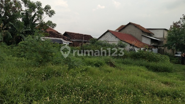 Land for Sale, Rice Field in Rajeg Tangerang