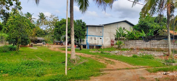 Rb. Dijual Kavling di Kampung Cikoleang Puspitek Bsd Rb. Dijual Kavling di Kampung Cikoleang Puspitek Bsd