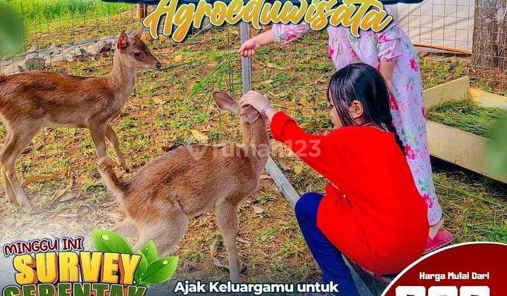 Kavling Nuansa Alam Agroeduwisata 2