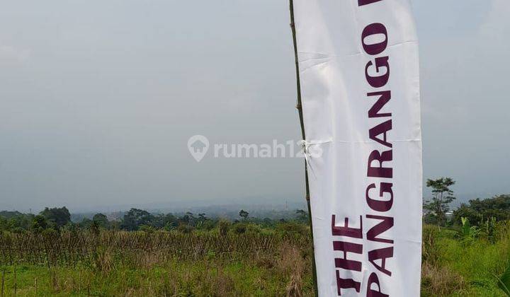 The Pangrango Hils  1