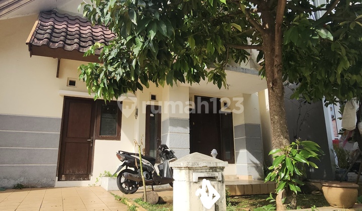 Rumah Sutera Delima , Alam Sutera Tangerang Selatan . Lt 128M². Kt 2. Km 1. Hadap Selatan Rumah Sutera Delima , Alam Sutera Tangerang Selatan . Lt 128M². Kt 2. Km 1. Hadap Selatan