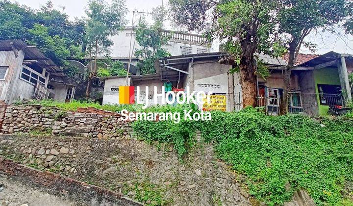 Rumah Lama di Jalan Ngaglik Lama 1