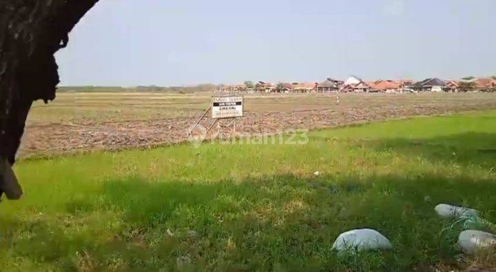 Dijual Lahan Kosong 5 Ha Di Cirebon Kota Jalur Pantura 2