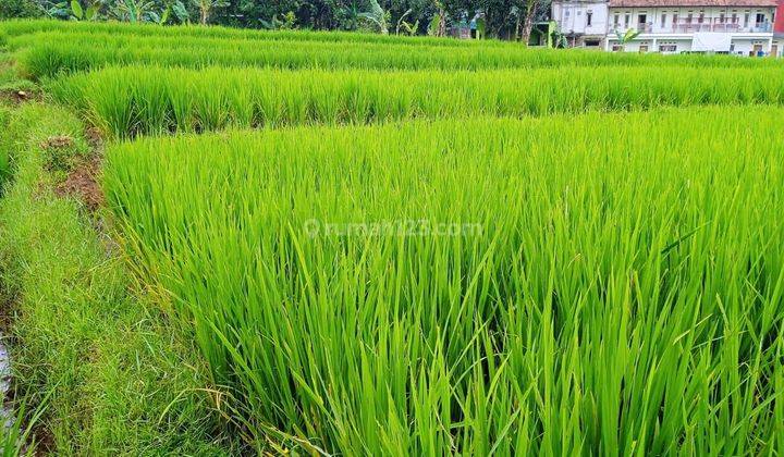 Tanah di Desa Ciapus Banjaran Bandung Jawa Barat  2