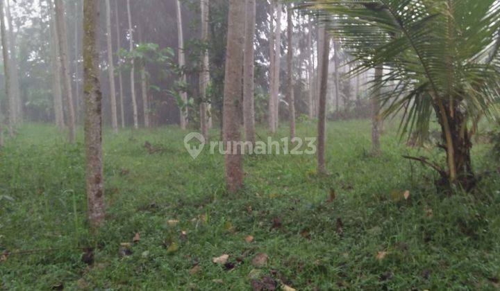 Dijual Tanah di Rancakalong Sumedang 2