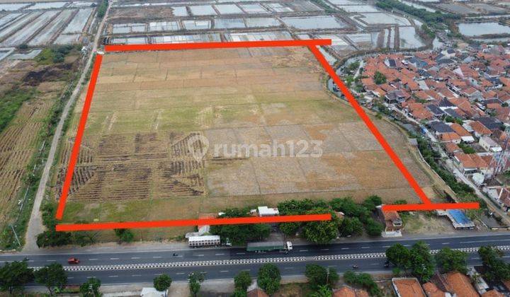 Dijual Lahan Kosong 5 Ha Di Cirebon Kota Jalur Pantura 1