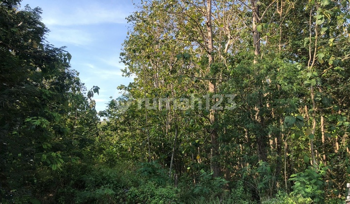 Tanah Sambi Dekat Bandara