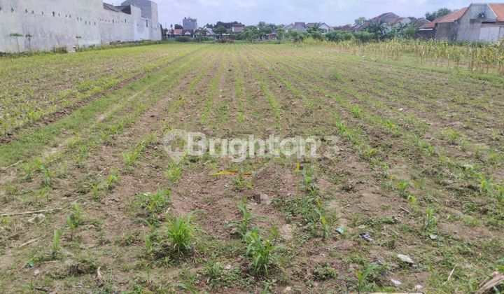 TANAH FOR PERUMAHAN DEKAT BANDARA TANAH FOR PERUMAHAN DEKAT BANDARA