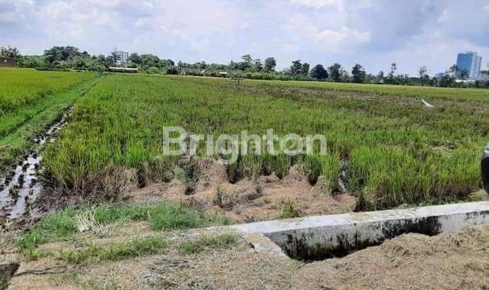 TANAH PEKARANGAN MENGHADAP JALAN UTAMA MOJOLABAN 1